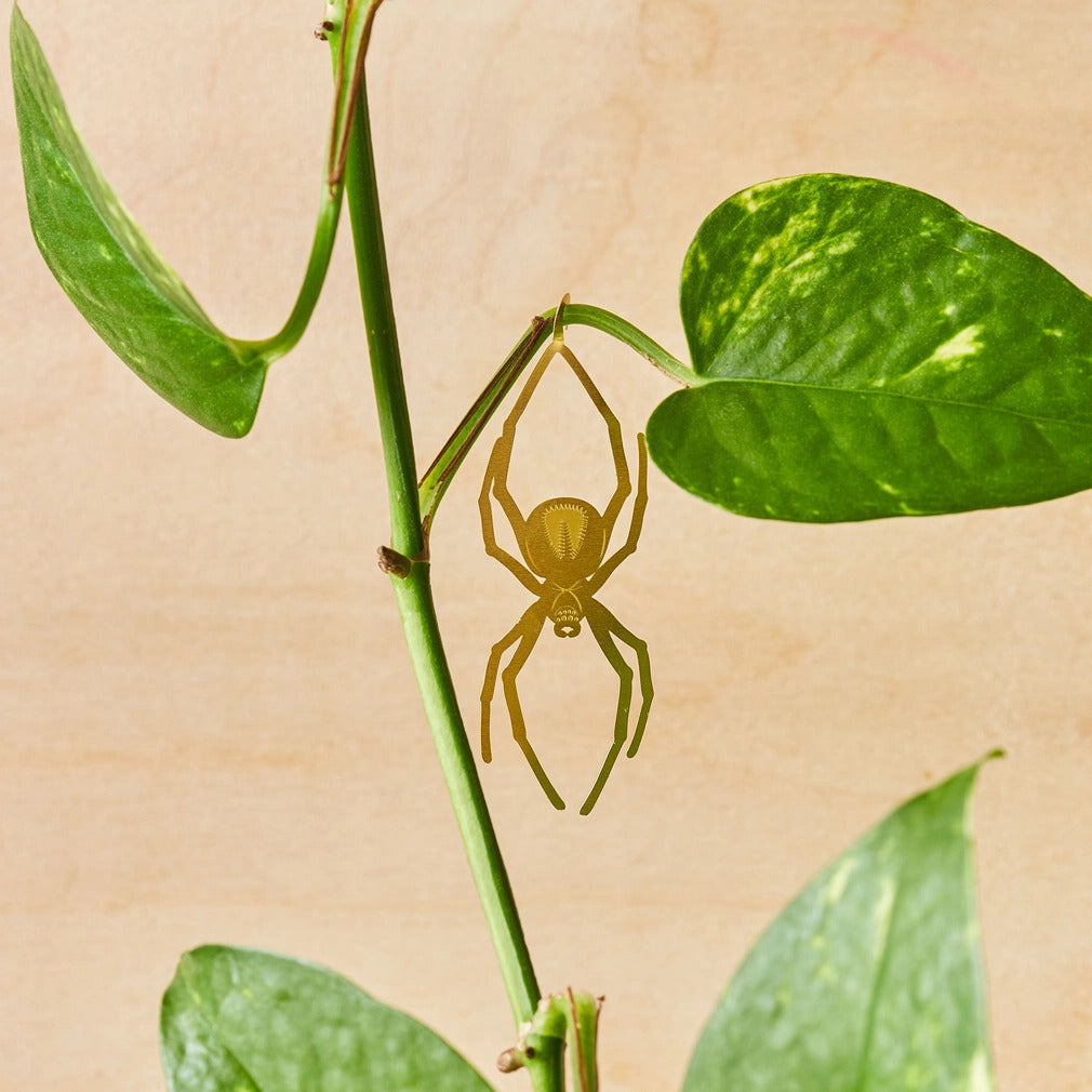 Edderkop plantanimal i messing, der hænger i en grøn plante