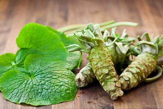 Wasabi (Wasabia japonica)